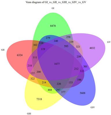 Analysis of the microbial diversity in takin (Budorcas taxicolor) feces